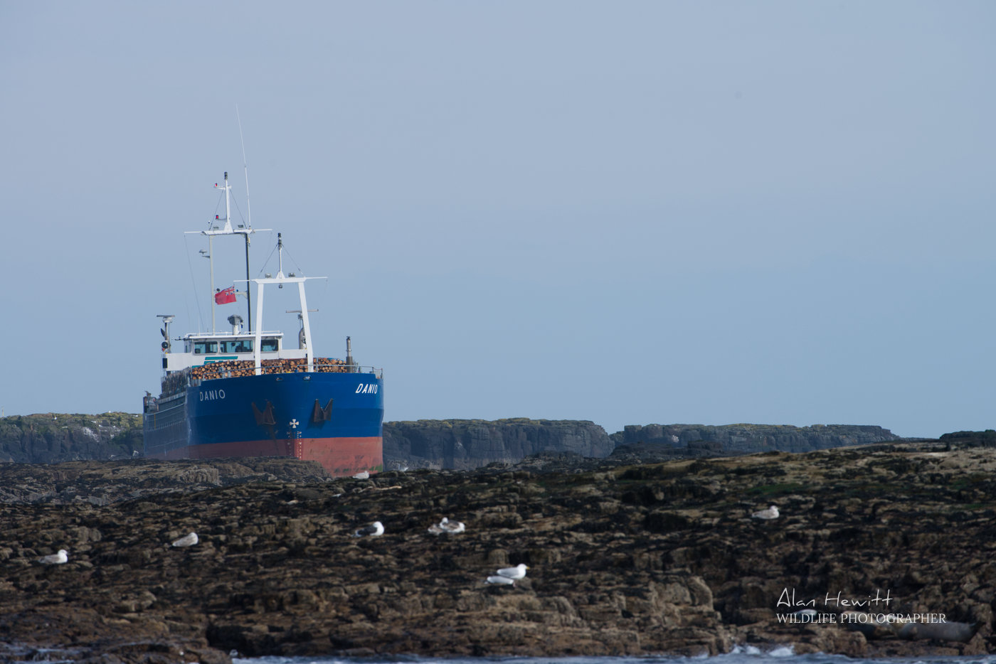 MV Danio Grounded on the Blue Caps, Farne Islands. Alan Hewitt Photography.