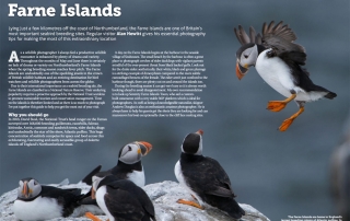 Wild Planet Photo Magazine - Farne Islands Alan Hewitt