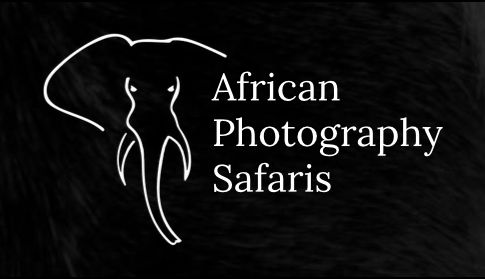 African Photography Safaris