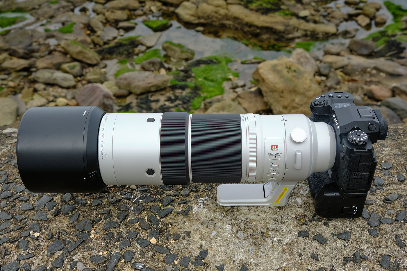 Fujifilm X-H2s and XF150-600mm Lens