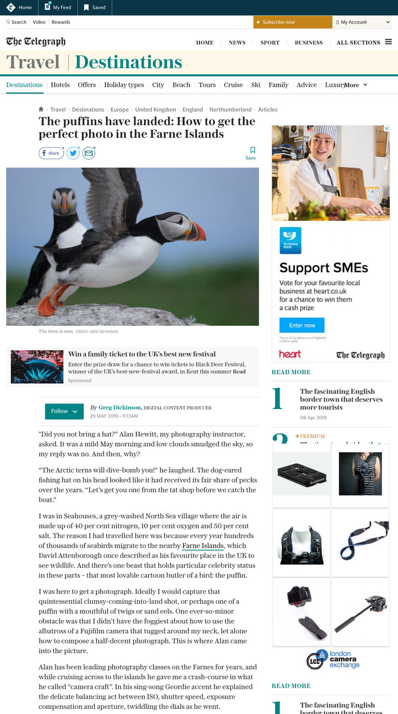 Daily Telegraph Travel The Puffins Have Landed Alan Hewitt Photography