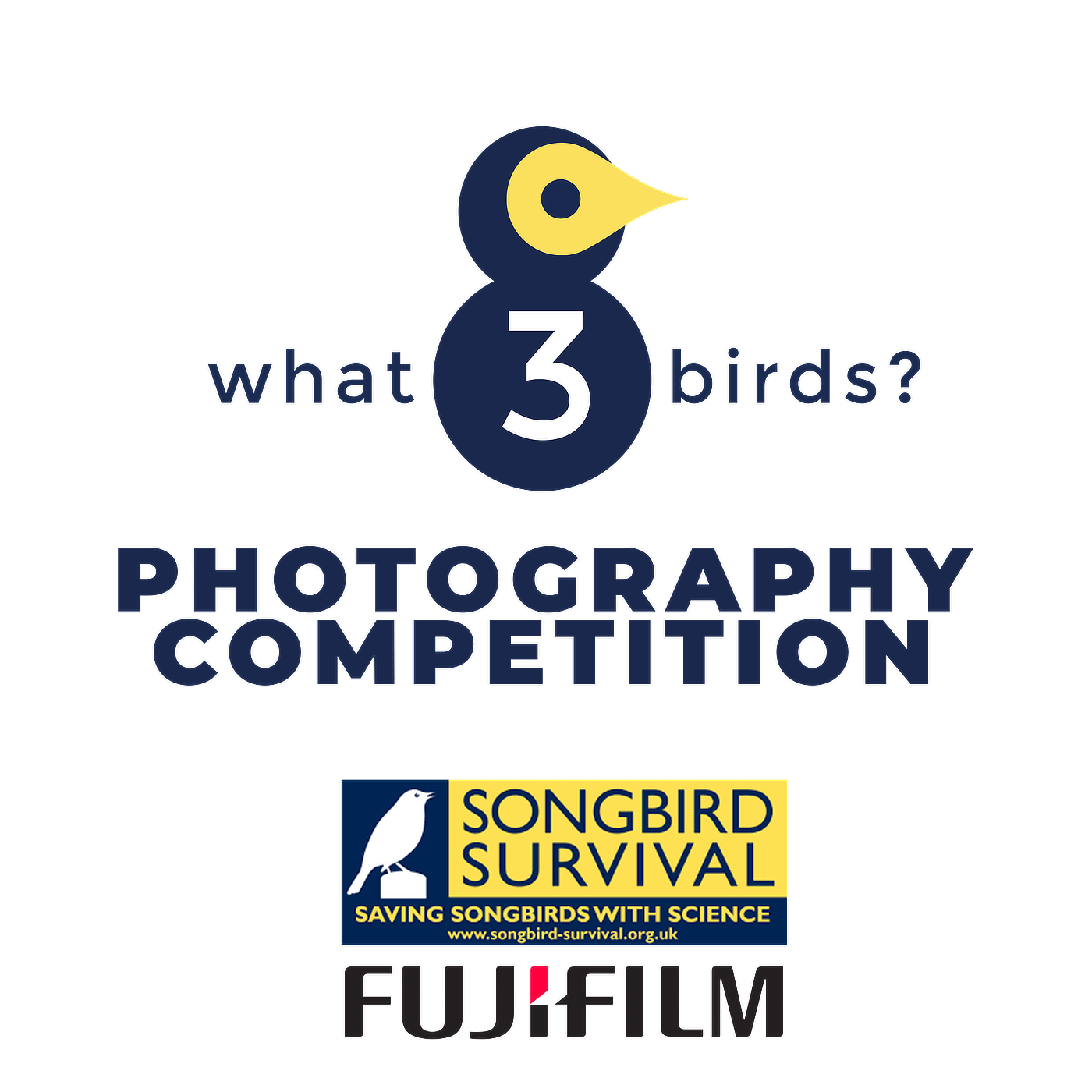 what3birds SongBird Survival Photography Competition