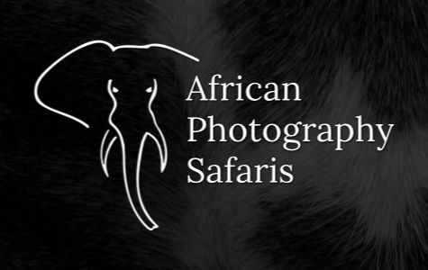 Alan Hewitt African Photography Safaris
