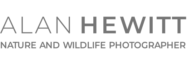 Alan Hewitt Photography Logo