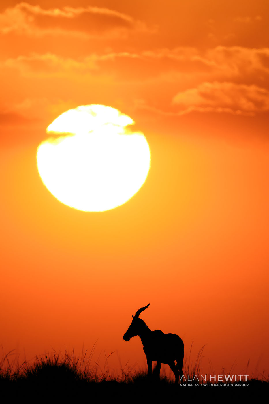 About Alan Hewitt - Topi Sunset