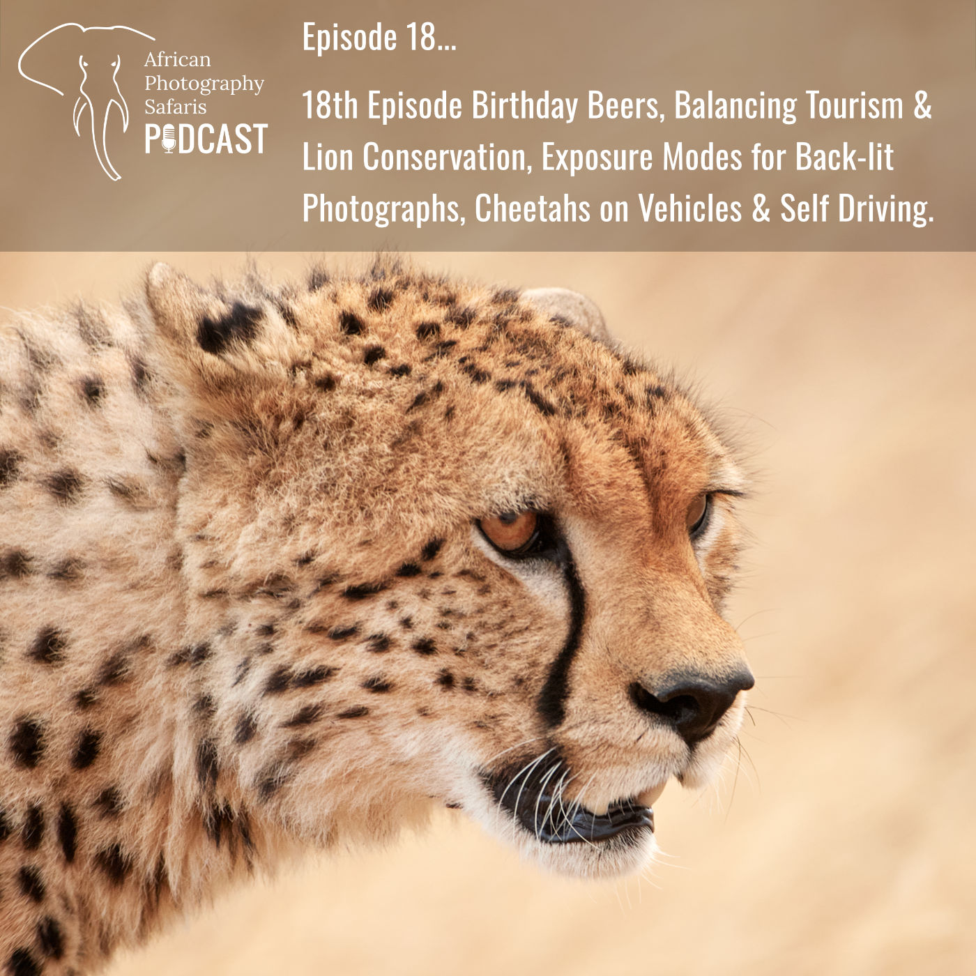 African Photography Safaris Podcast #18